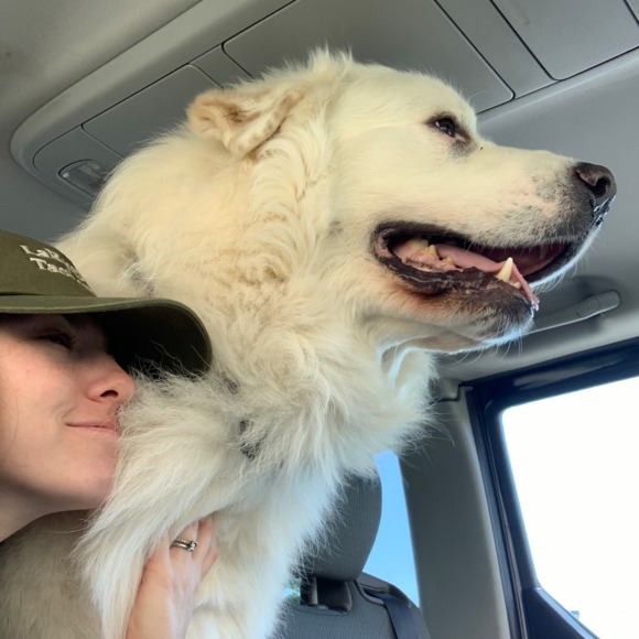 Meet your Posher, E - Picture 1 of 1